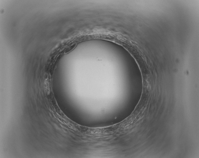 X0000059081493200510211528