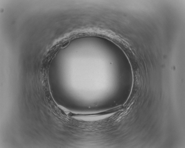 X0000059081494200510211528