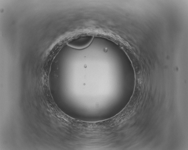 X0000059081495200510211528