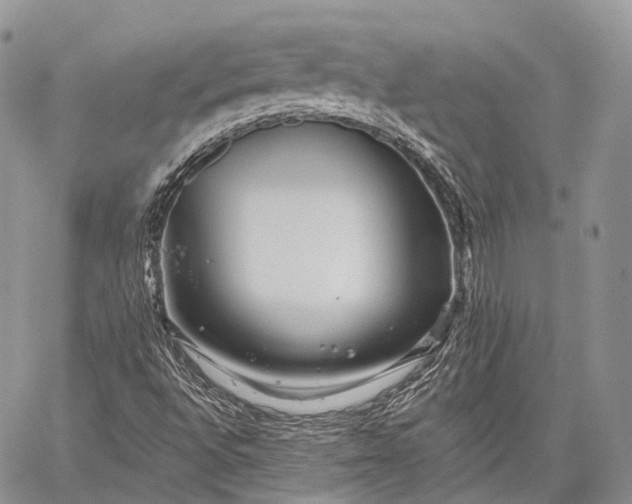 X0000059081496200510211528