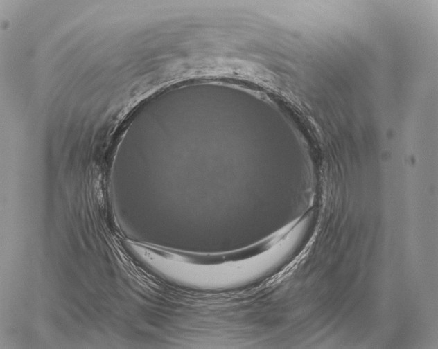 X0000059081497200510211528