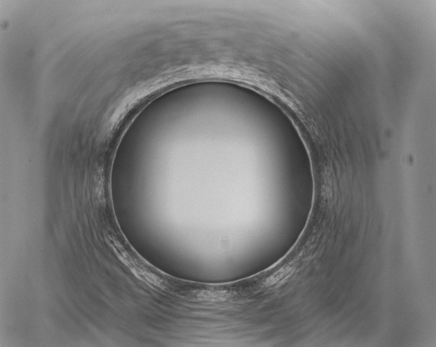 X0000059081499200510211528