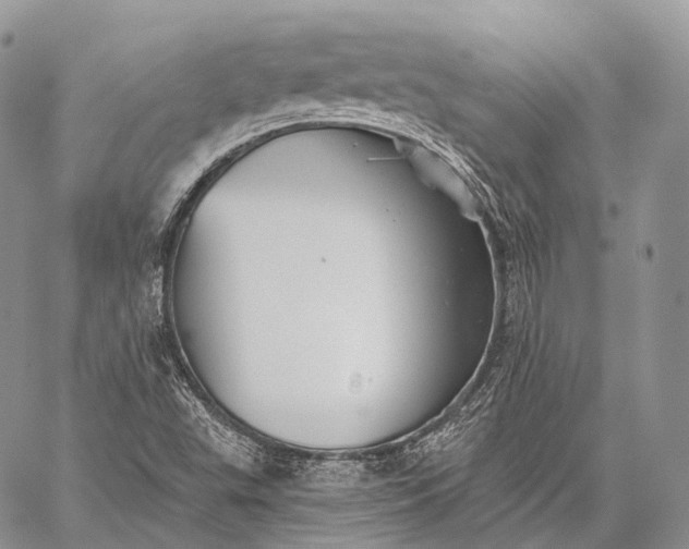 X0000059081503200510211529