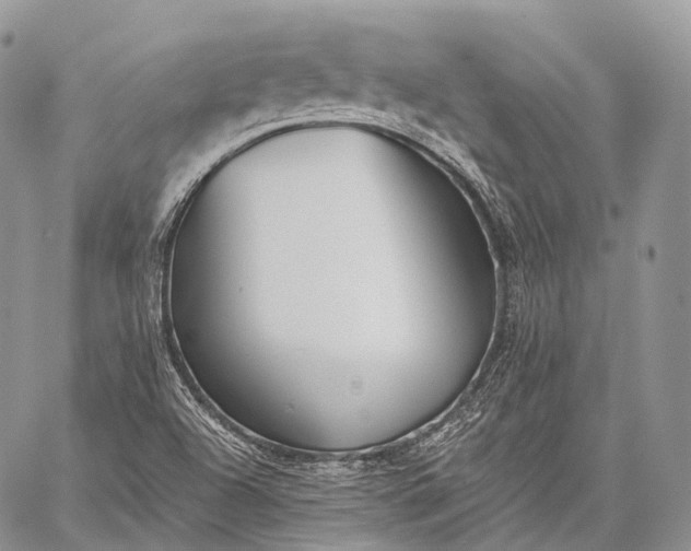 X0000059081504200510211529