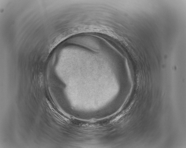 X0000059081505200510211529