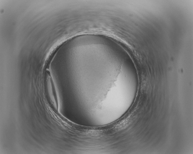 X0000059081506200510211529