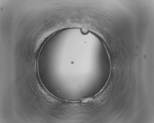 X0000059081507200510211529