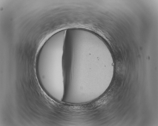 X0000059081508200510211529