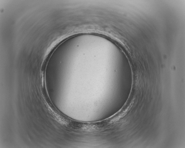 X0000059081509200510211529