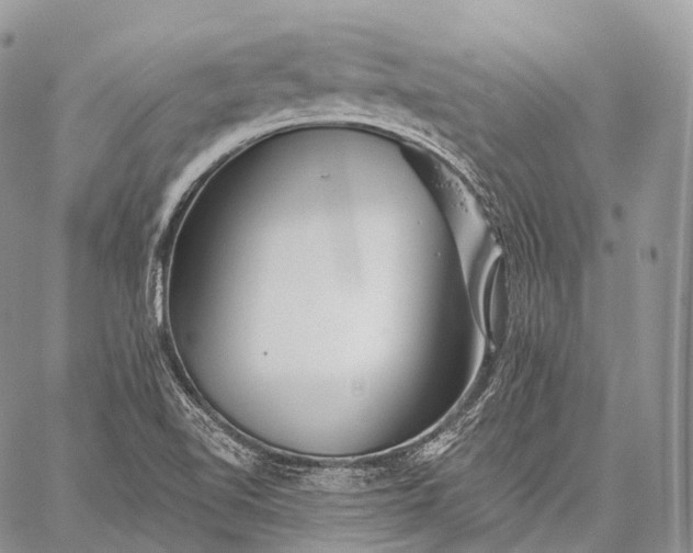 X0000059081510200510211529