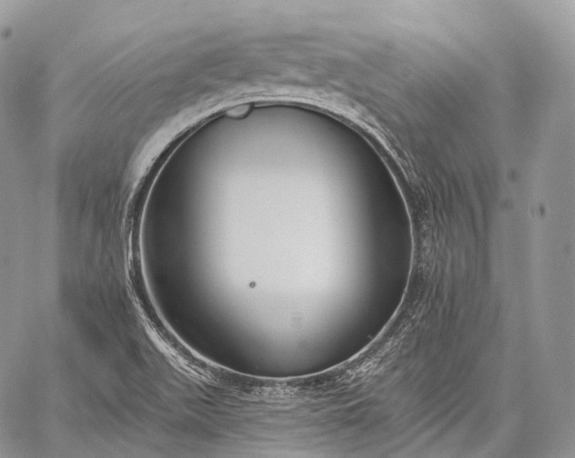 X0000059081511200510211529