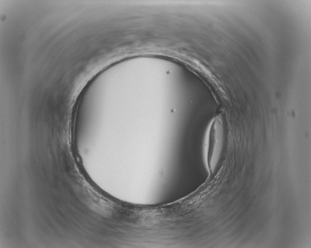 X0000059081512200510211529