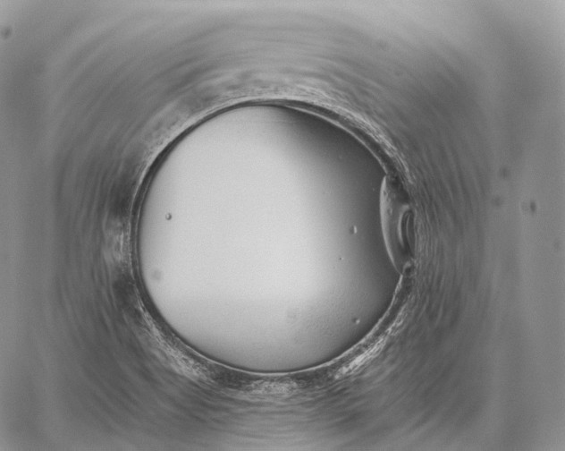 X0000059081513200510211529