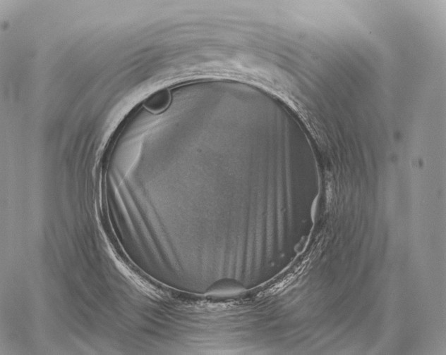 X0000059081515200510211529