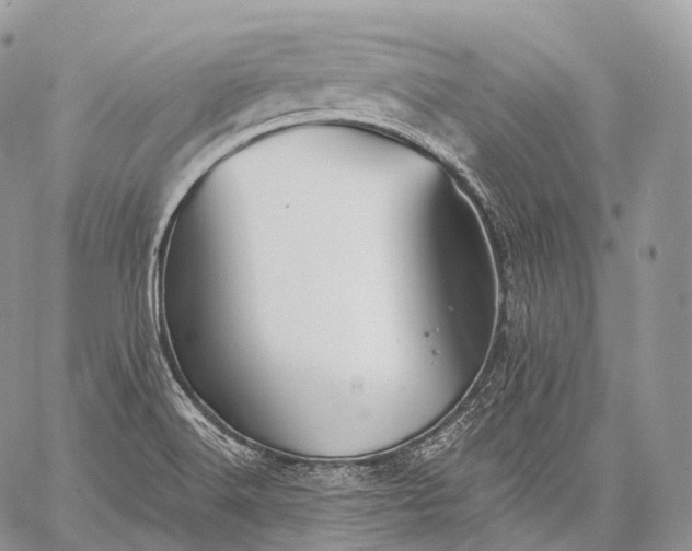 X0000059081516200510211529