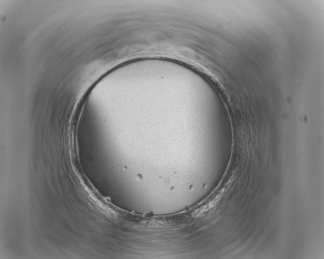 X0000059081517200510211529