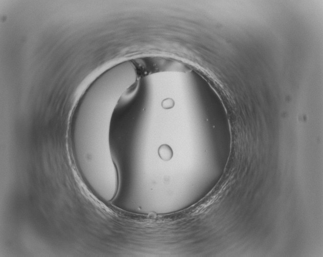 X0000059081518200510211529