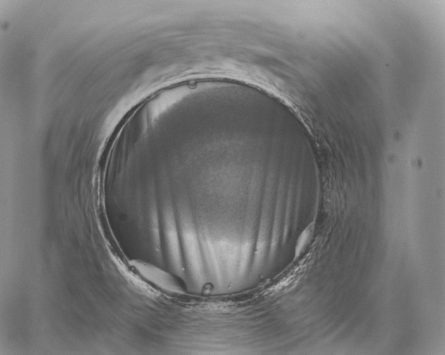 X0000059081519200510211529