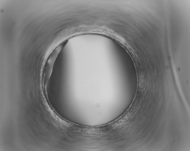 X0000059081520200510211529