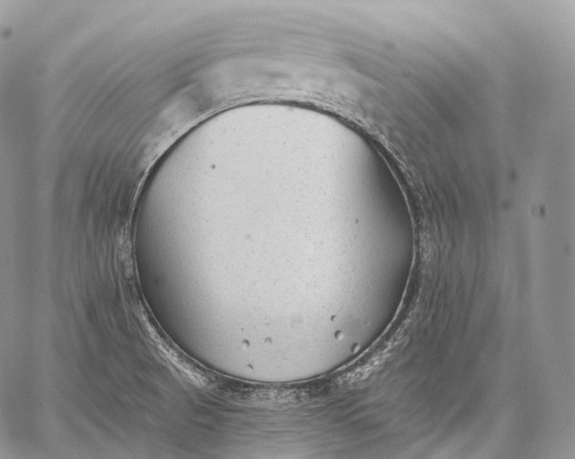 X0000059081521200510211529