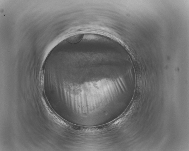 X0000059081522200510211529