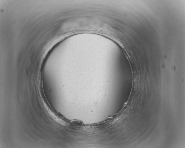 X0000059081523200510211529