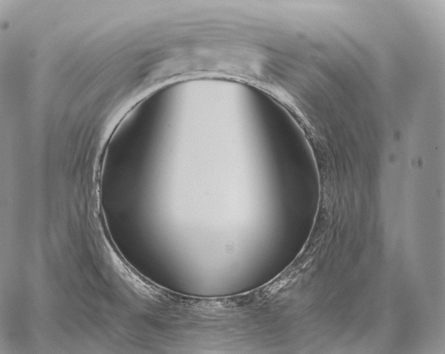 X0000059081524200510211529