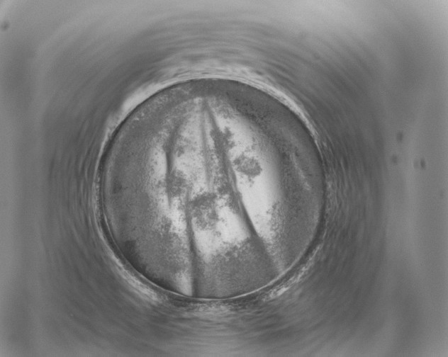 X0000059081525200510211529