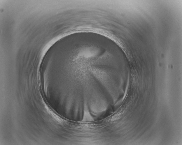 X0000059081527200510211529