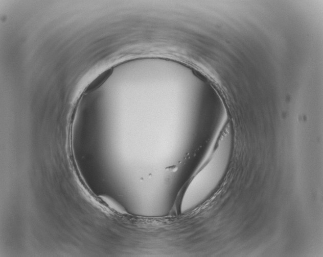 X0000059081528200510211529