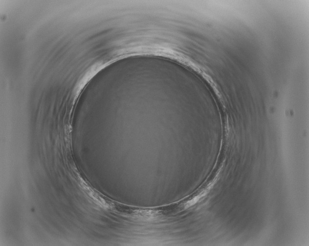 X0000059081529200510211529