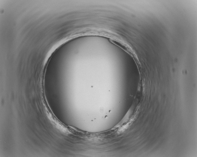 X0000059081530200510211529