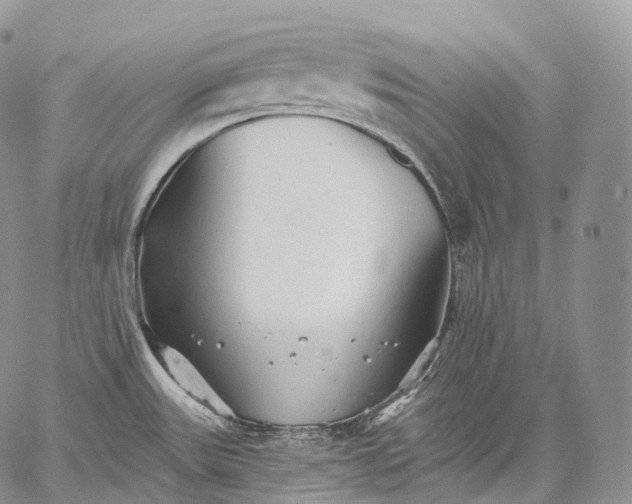 X0000059081531200510211529