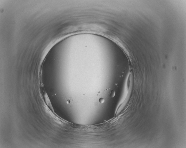 X0000059081532200510211529