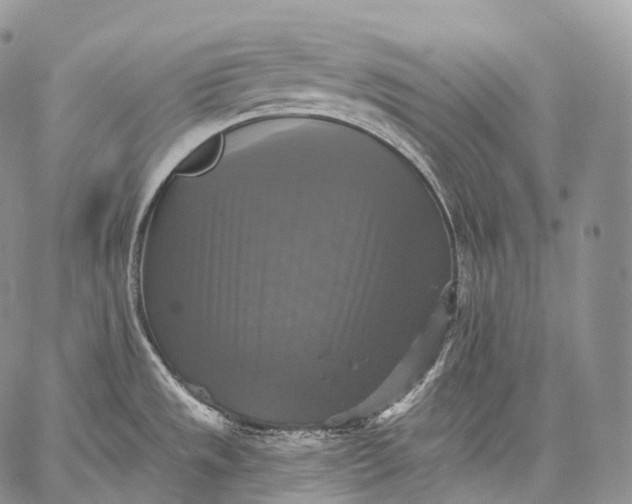 X0000059081533200510211529