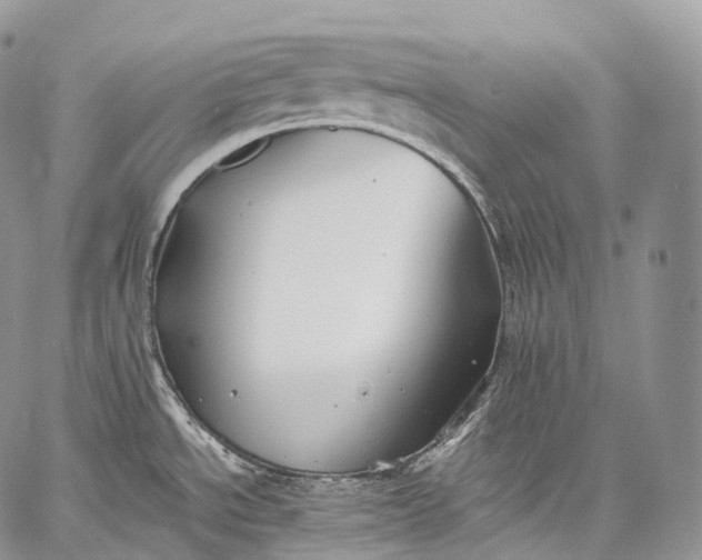 X0000059081534200510211529