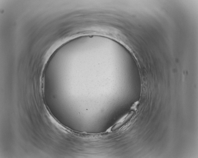 X0000059081535200510211529