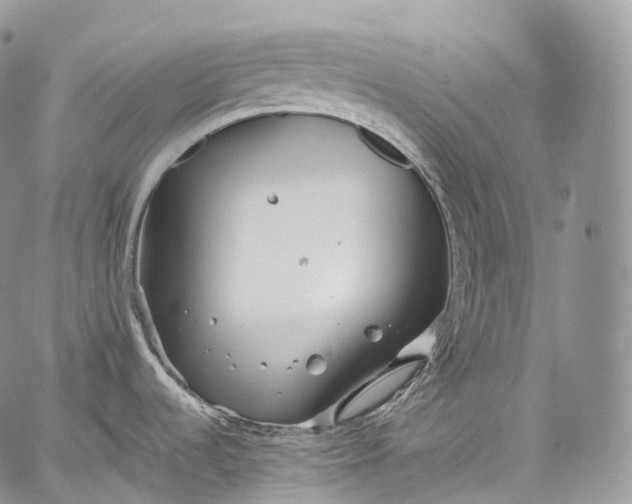 X0000059081536200510211529