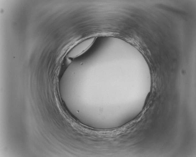 X0000059080001200510281735