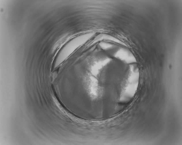 X0000059080002200510281735