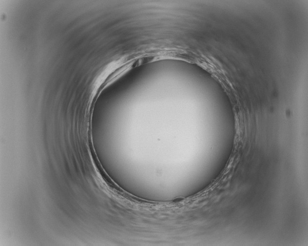 X0000059080003200510281735