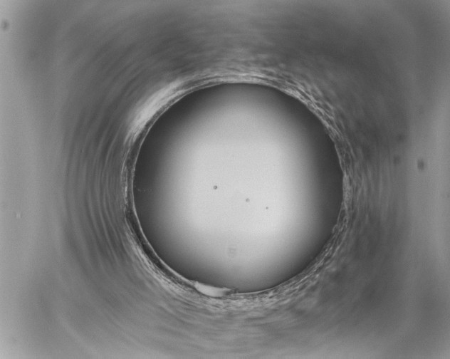 X0000059080005200510281735