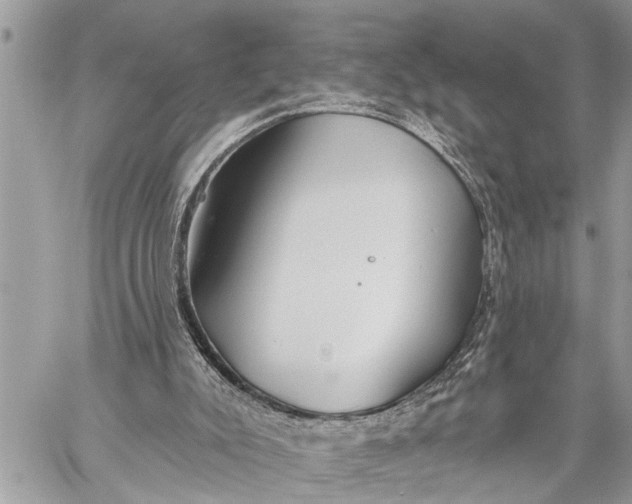 X0000059080007200510281735