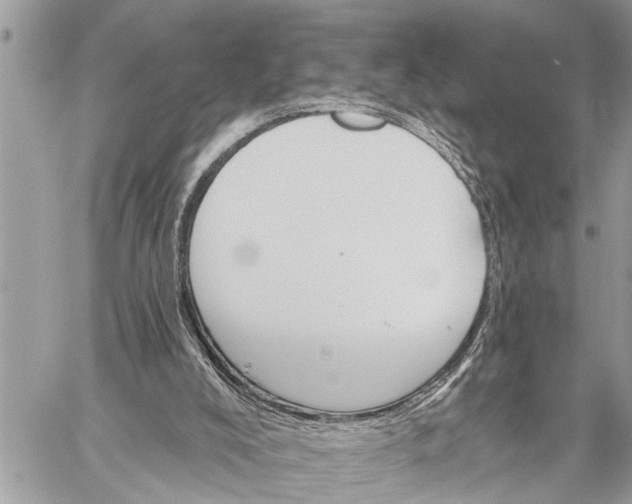 X0000059080008200510281735