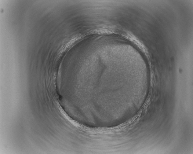 X0000059080009200510281735