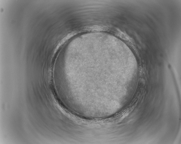 X0000059080012200510281735