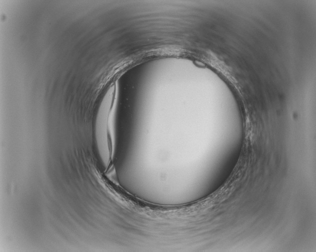 X0000059080013200510281735