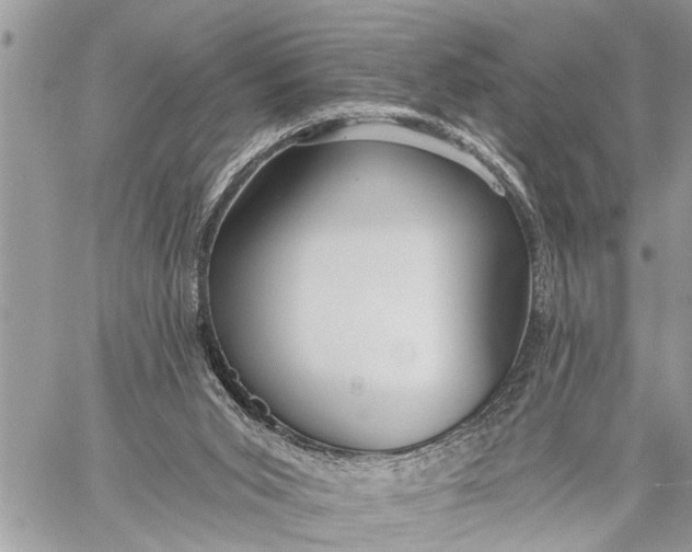 X0000059080015200510281735