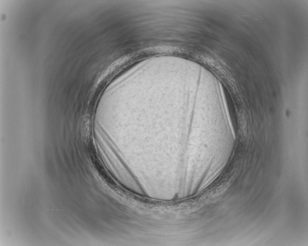 X0000059080016200510281735