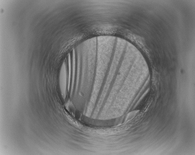 X0000059080017200510281735